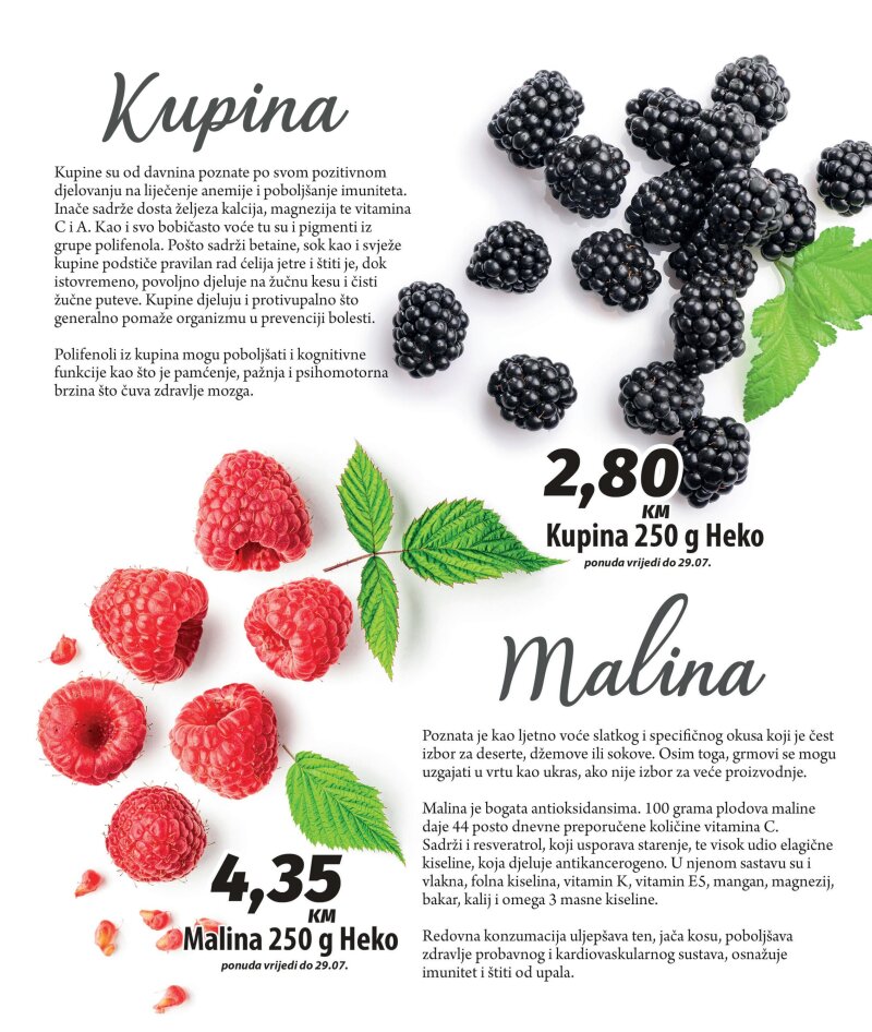 Bingo - Magazin plus - stranica 26