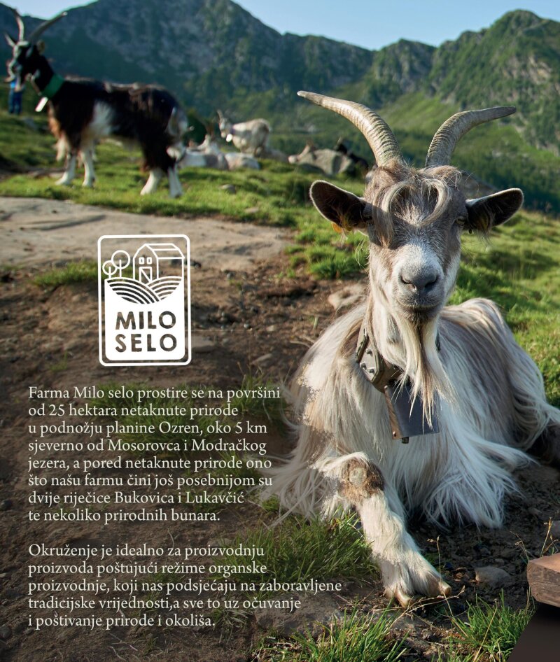 Bingo - Magazin plus - stranica 46